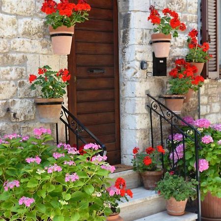Casa Gentile Apartment Assisi Ngoại thất bức ảnh