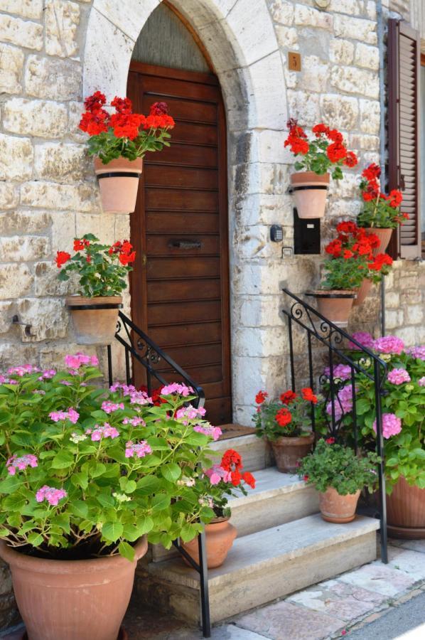 Casa Gentile Apartment Assisi Ngoại thất bức ảnh